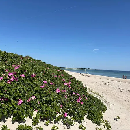 Tatil Evi 5 Star In Sydals *