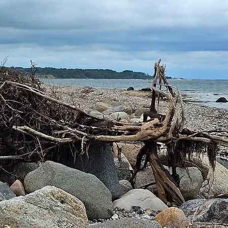 5 Star In Sydals Tatil Evi *