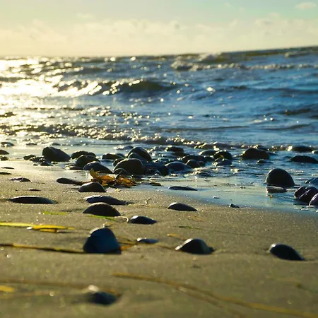 Tatil Evi 5 Star In Sydals